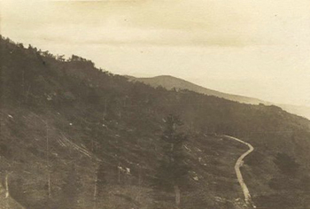 Lumbering operations on Grandfather Mountain, 1934.
